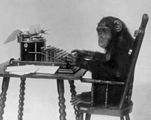 Our monkey